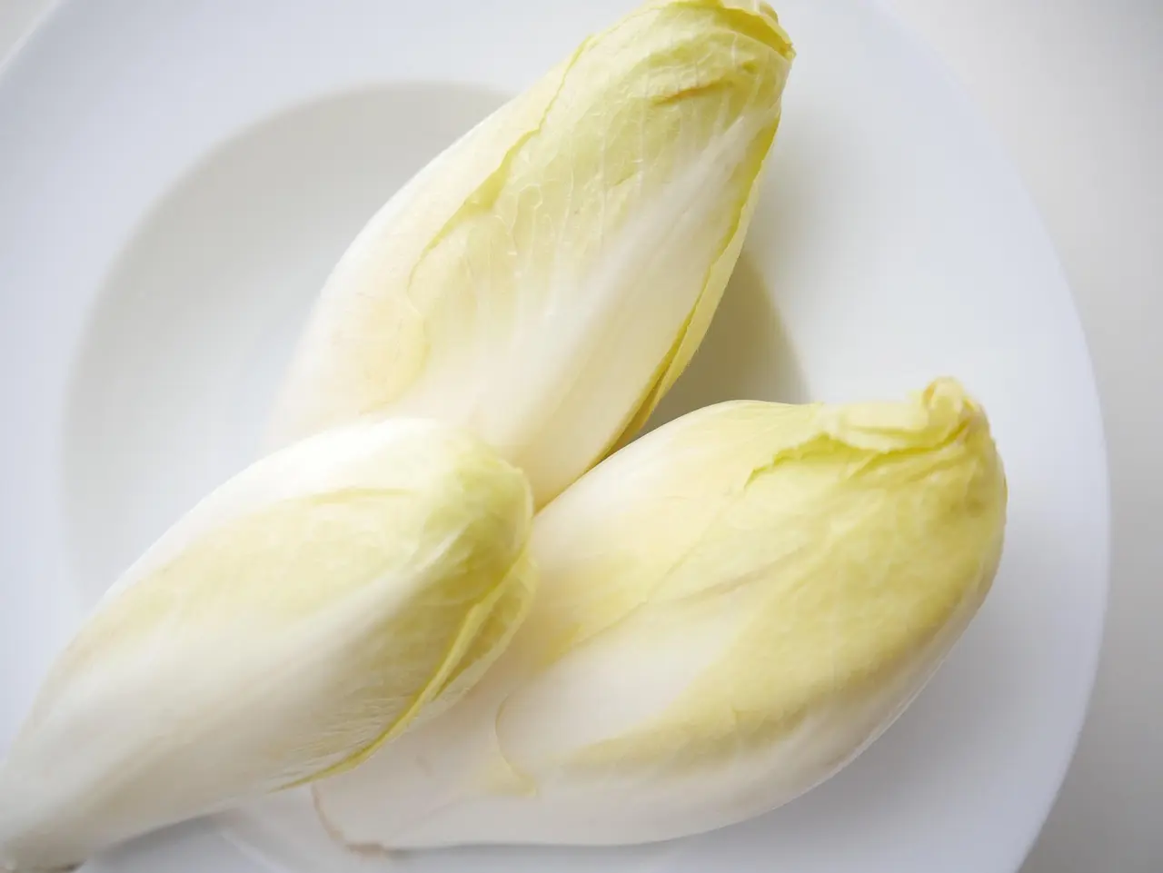 Color your life von Rezepte fuers Leben chicory