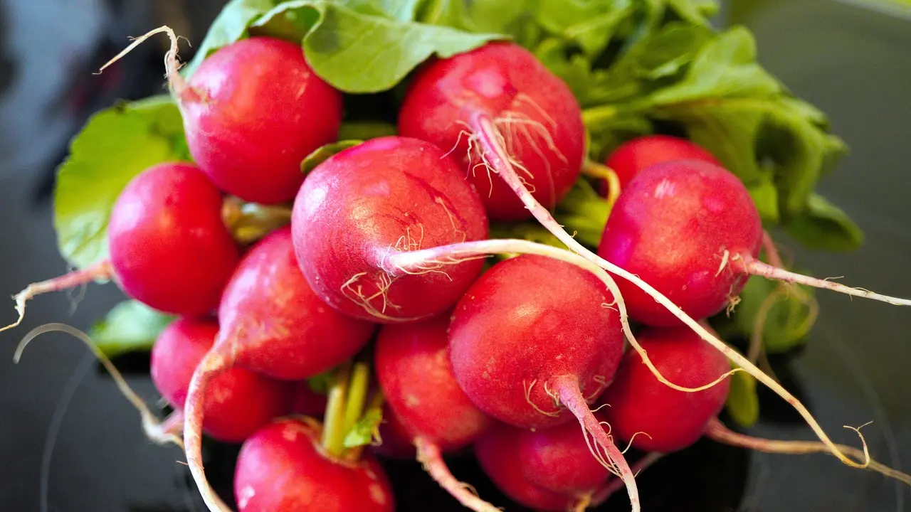 Color your life von Rezepte fuers Leben radishes